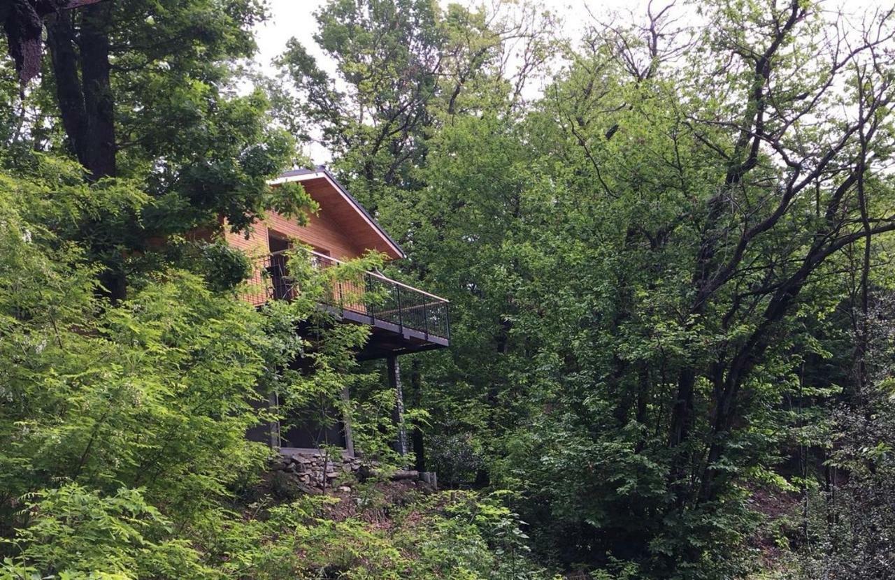"La Romantica" Rifugio Nel Bosco Astano Eksteriør billede