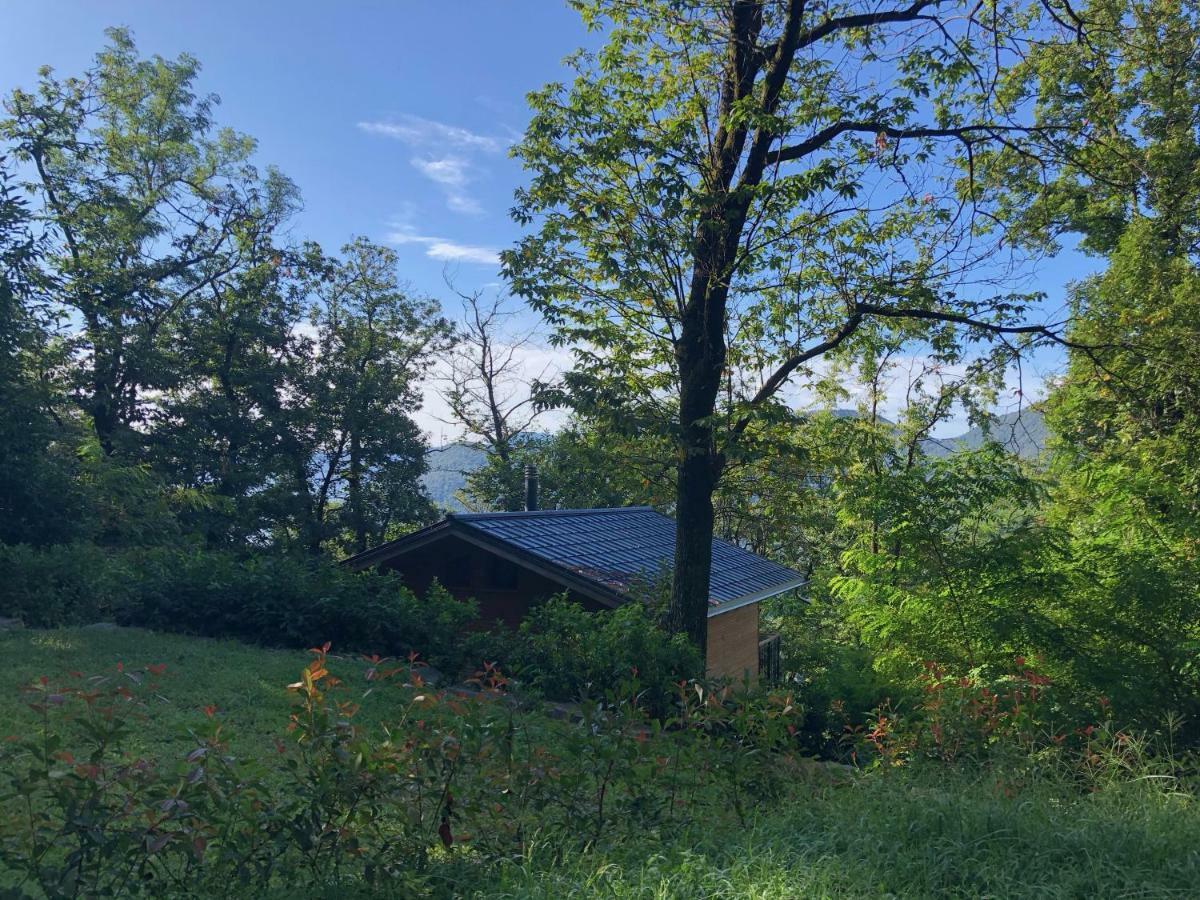 "La Romantica" Rifugio Nel Bosco Astano Eksteriør billede